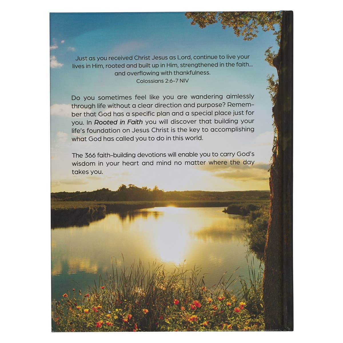 Devotional Rooted in Faith Hardcover